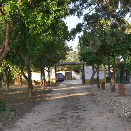 Pateo Das Laranjeiras Tomar Exteriér fotografie