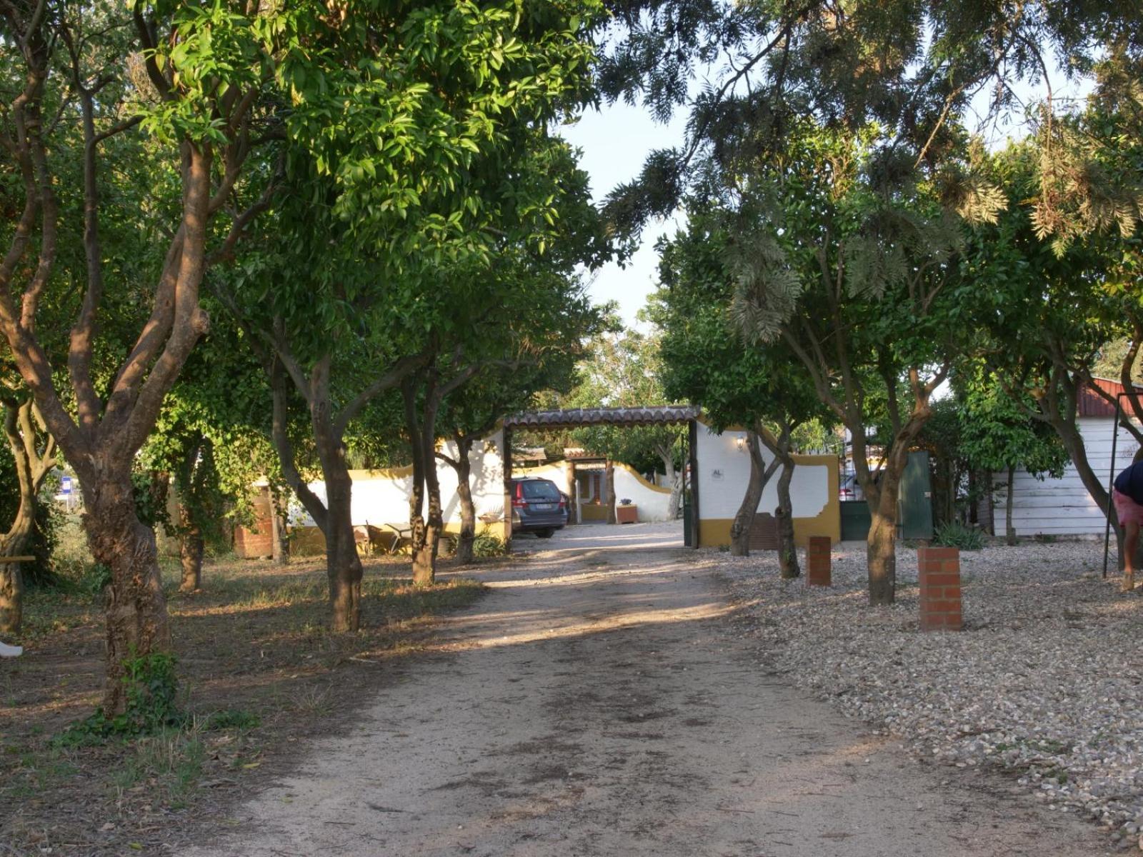 Pateo Das Laranjeiras Tomar Exteriér fotografie
